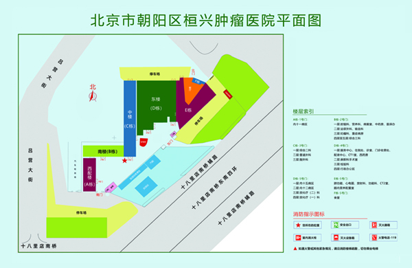 被吃摸插逼超爽蜜桃视频北京市朝阳区桓兴肿瘤医院平面图